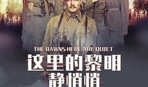 这里的黎明静悄悄电视剧,揭秘战争背后的生死抉择